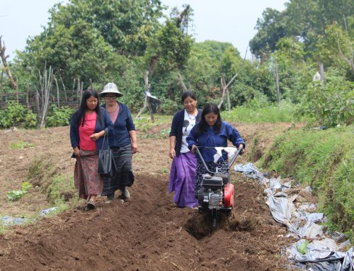 Empowering Women in Agriculture